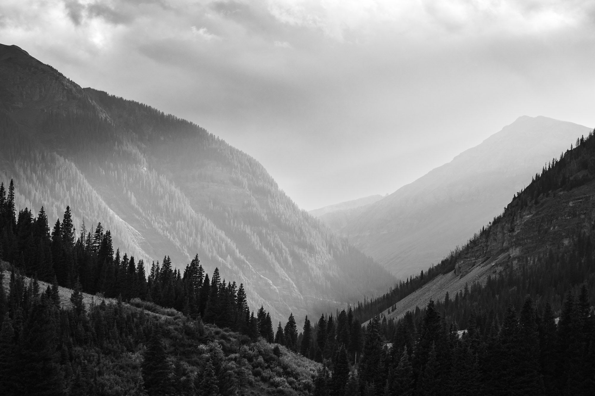 Black and white image of a hazy mountain valley with evergreen trees in the foreground. Cloudy sky above.