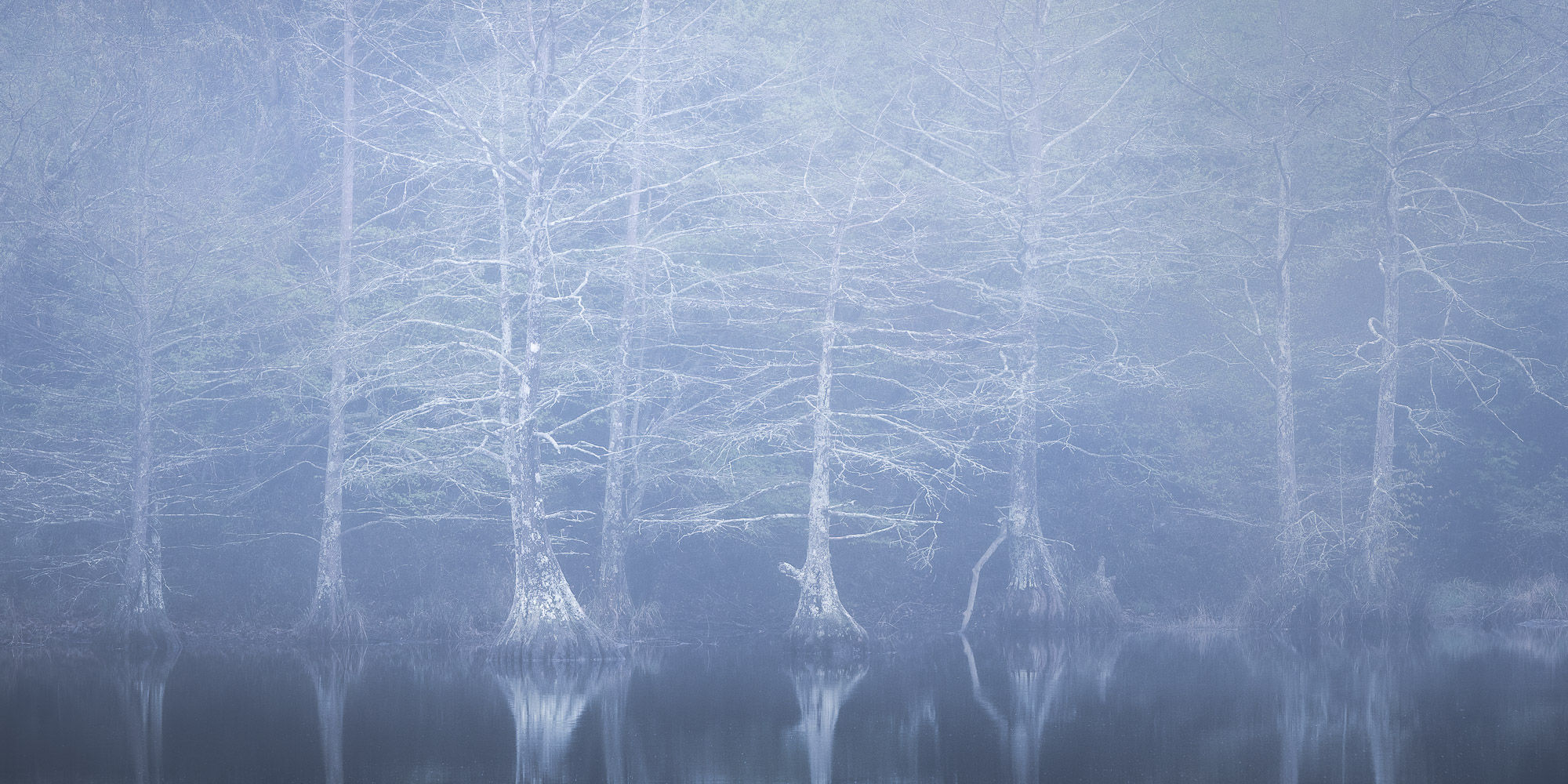 Misty reflections of leafless trees stand eerily over still water at Beavers Bend State Park. By Michael Rung Photography