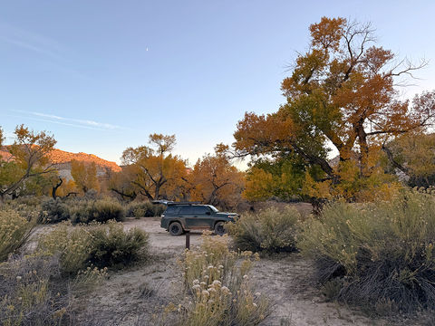 Car Camping for Photographers: How to Build a Simple Vehicle-Based Setup