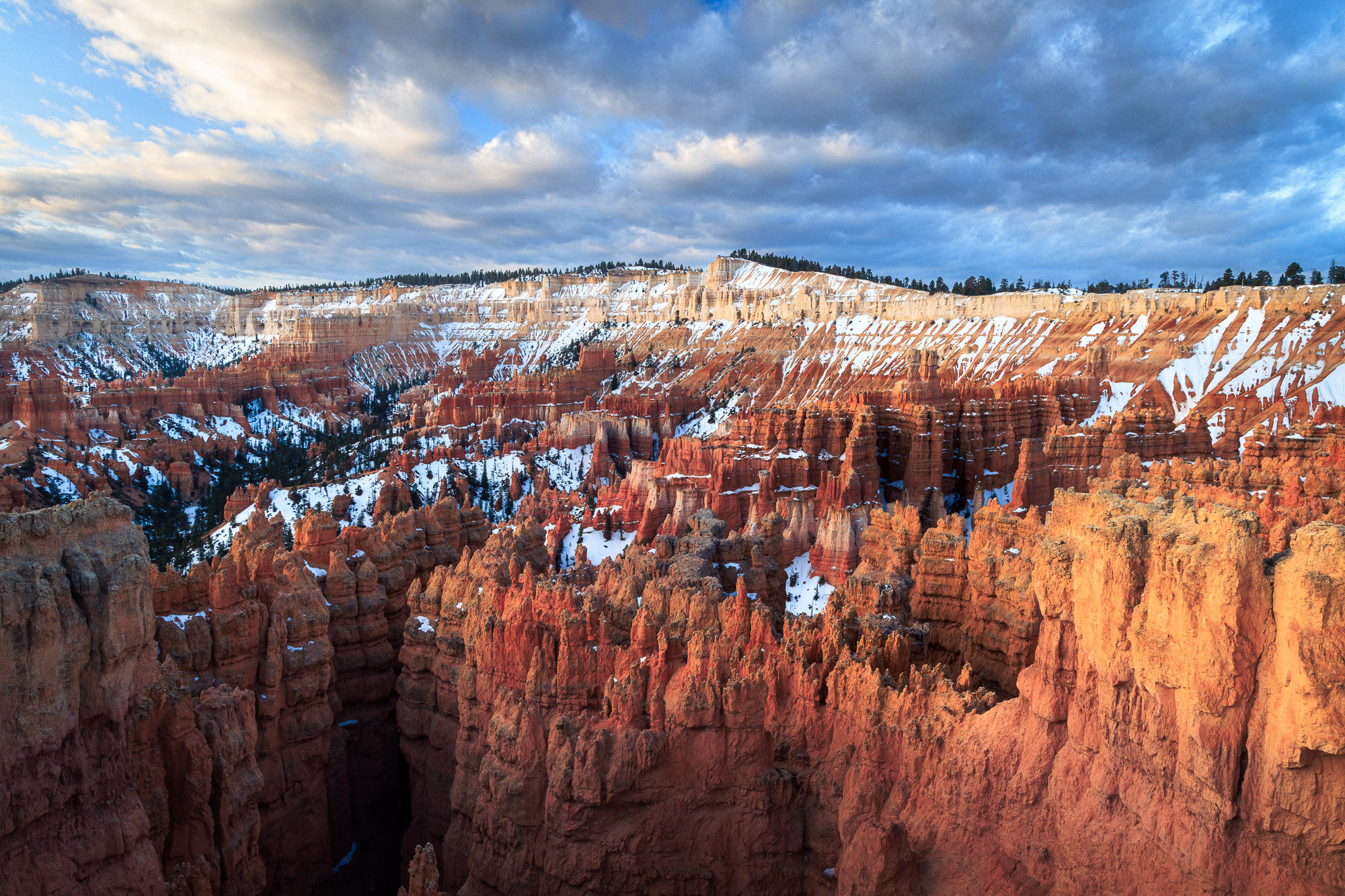Dramatic orange hoodoos aglow in morning light at Bryce Canyon National Park. Michael Rung Photography
