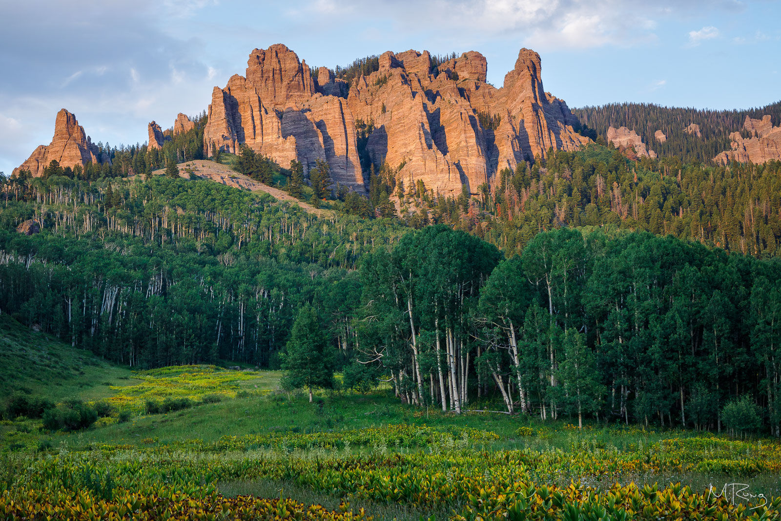 Red rock formations tower over a lush green forest and meadow under a partly cloudy sky, creating a majestic landscape.
