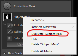 A screenshot of Lightroom Classic showing how to duplicate a mask group