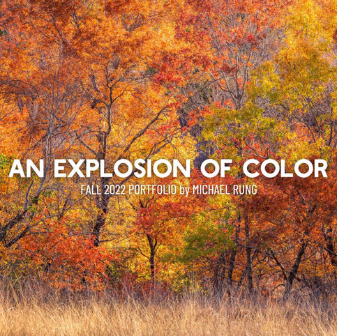 Photographing Fall Colors in North Texas