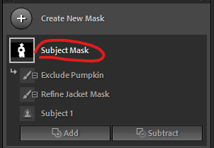A screenshot of Lightroom Classic showing Subject Mask group