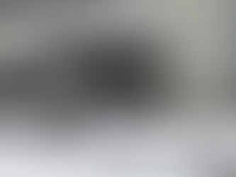 הלב הפועם של הטירגארטן: מסע בזמן ובטעמים ב-Cafe am Neuen See