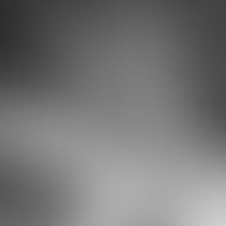 הידיים שבנו את העיר מחדש: סיפורן של נשות ההריסות (Trümmerfrauen)