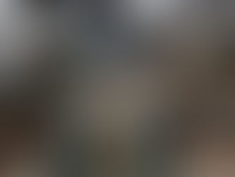 האמא של ברלין: מסע בעקבות קתה קולוויץ - מהכיכר ועד הארמון