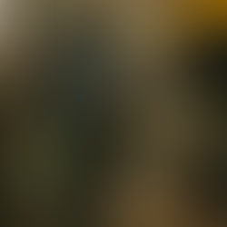 אלברט מבוואריה פלאץ: המוח היהודי שפיצח את היקום בין קפה למאפה 🎻⛵