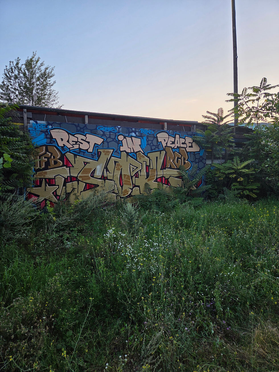 אמנות רחוב בסגנון Wildstyle על חומת ה-North Side Gallery במאוארפארק בברלין