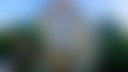 האי האדום הסודי של ברלין: מסע בשכונה של המהפכנים, מרלן דיטריך והיין