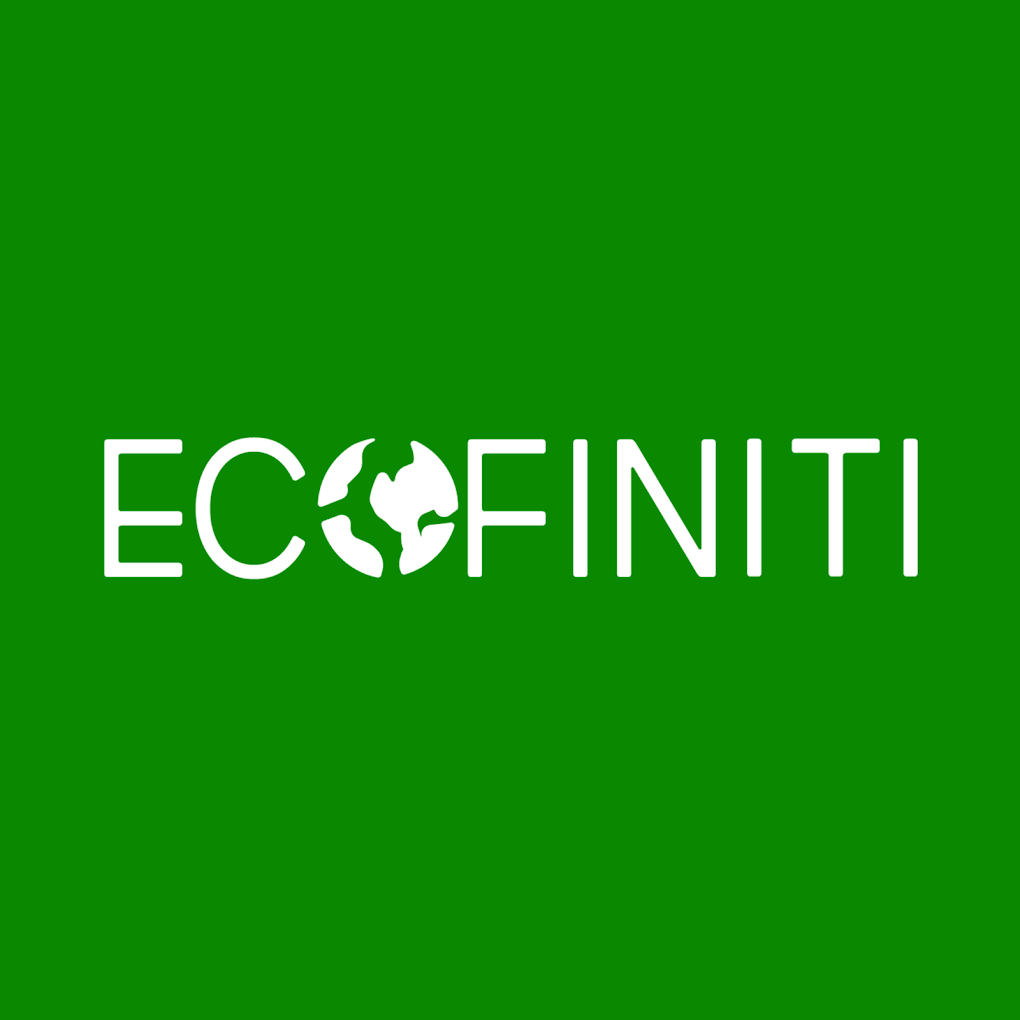 Writer: Ecofiniti