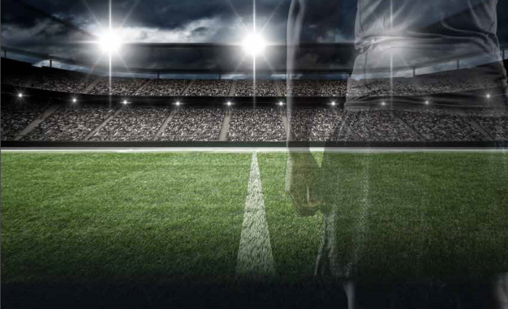 FieldTurf - A Global Leader of Artificial Turf