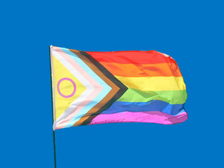 Embracing Pride