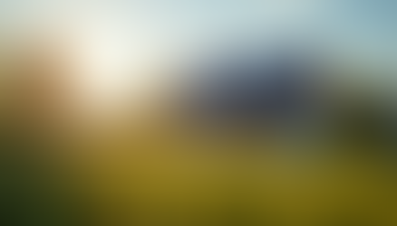 Maximieren Sie Ihre Energieeffizienz mit professioneller Beratung