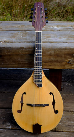 MandolinBanner