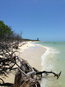 936953_467883139955658_1041472504_n