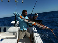 16427388_1239924199418211_8239474688836723087_n