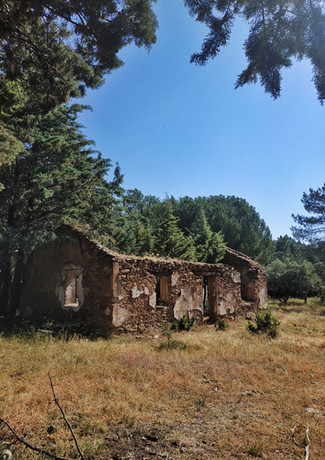 ruinas bosque sierra de madrid
