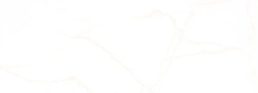 Frame 1984078555.webp