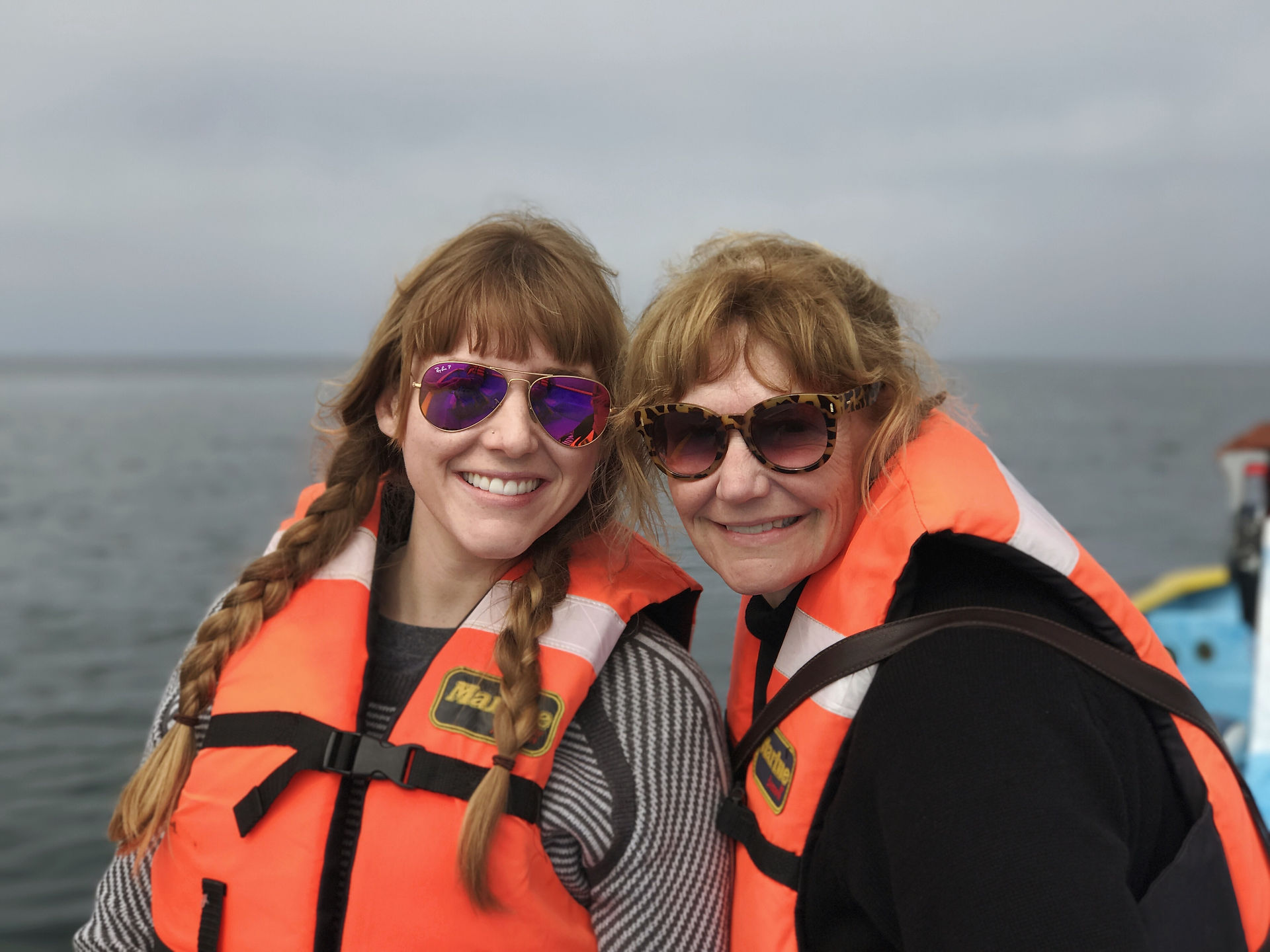 Whale tour in Magdalena Bay