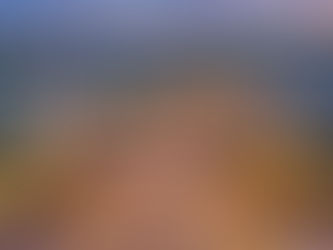 The "Golden Junction" Effect: Why Puncak Alam Commercial Rentals are Defying Market Trends