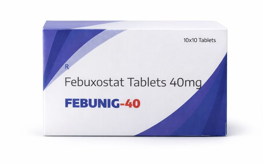 Box of Febuxostat Tablets 40mg FEBUNIG-40, 10x10 Tablets, Paning-40 Tablets included.