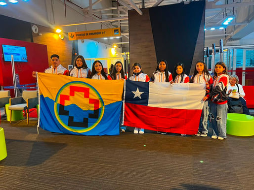GIMNASTAS DE CALAMA DESTACAN EN COMPETENCIAS NACIONALES E INTERNACIONALES