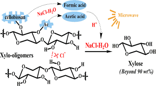 Sodium Chloride-Assisted Depolymerization of Xylo-oligomers to Xylose