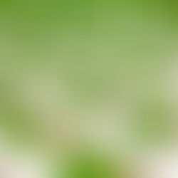 The food industry and 10 inspiring organizations