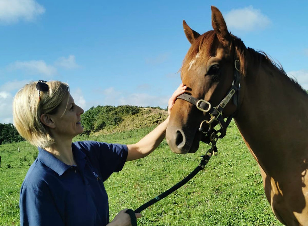 Now Open Animal Welfare Grant Programme for Registered Animal