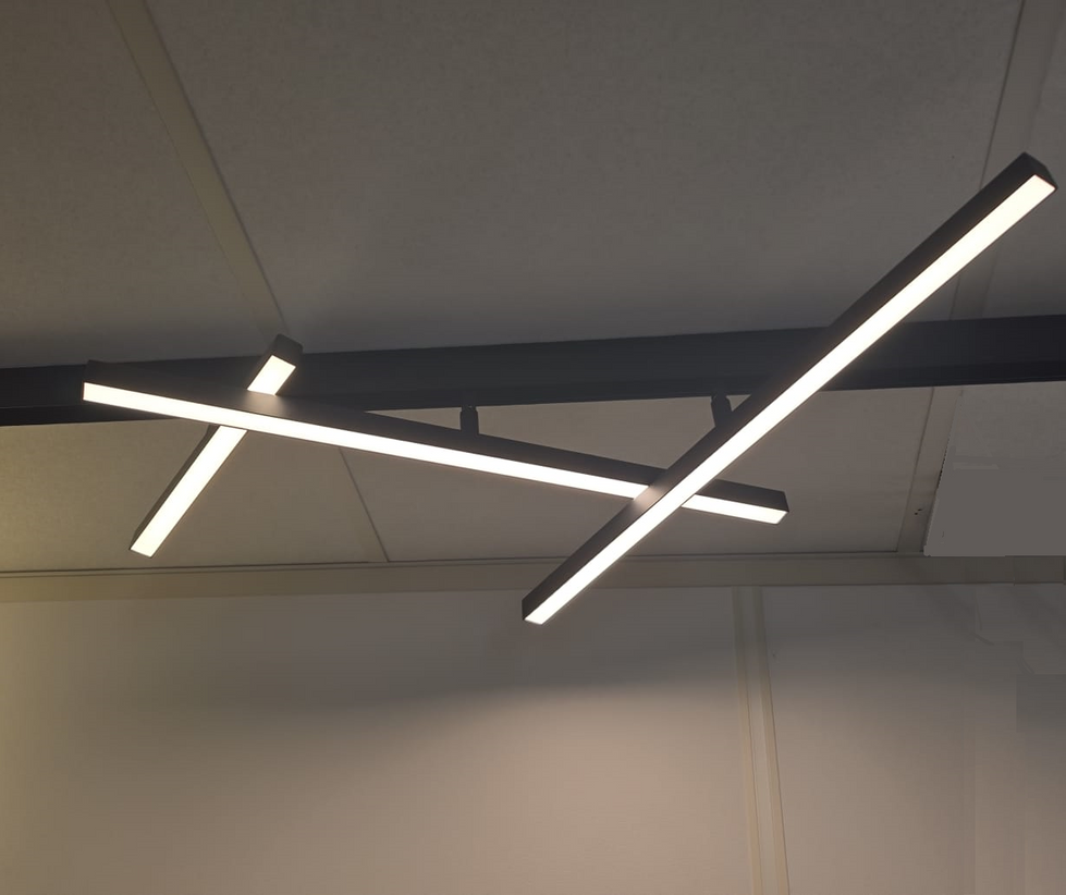 FlexArt Bij LEDware_001 (1)