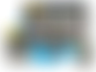 新サービス「Webデビュー3万円プラン」について