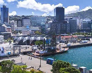 wellington_1200_x_800_edited.jpg
