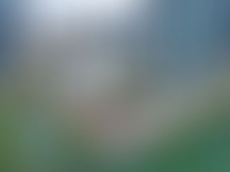 Villa Miami 06/20/2025