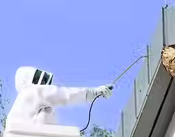 hornet-nest-removal-766152667.avif
