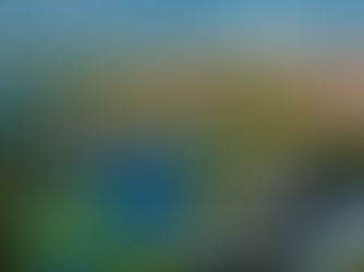 PQT Traslados + Hotel todo incluido Barceló Huatulco