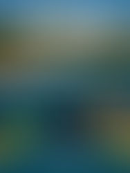 PQT Traslados + Hotel todo incluido Dreams Huatulco