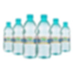 Água Mineral 510ml Fardo com 12 Unidades S/Gás Ouro Fino