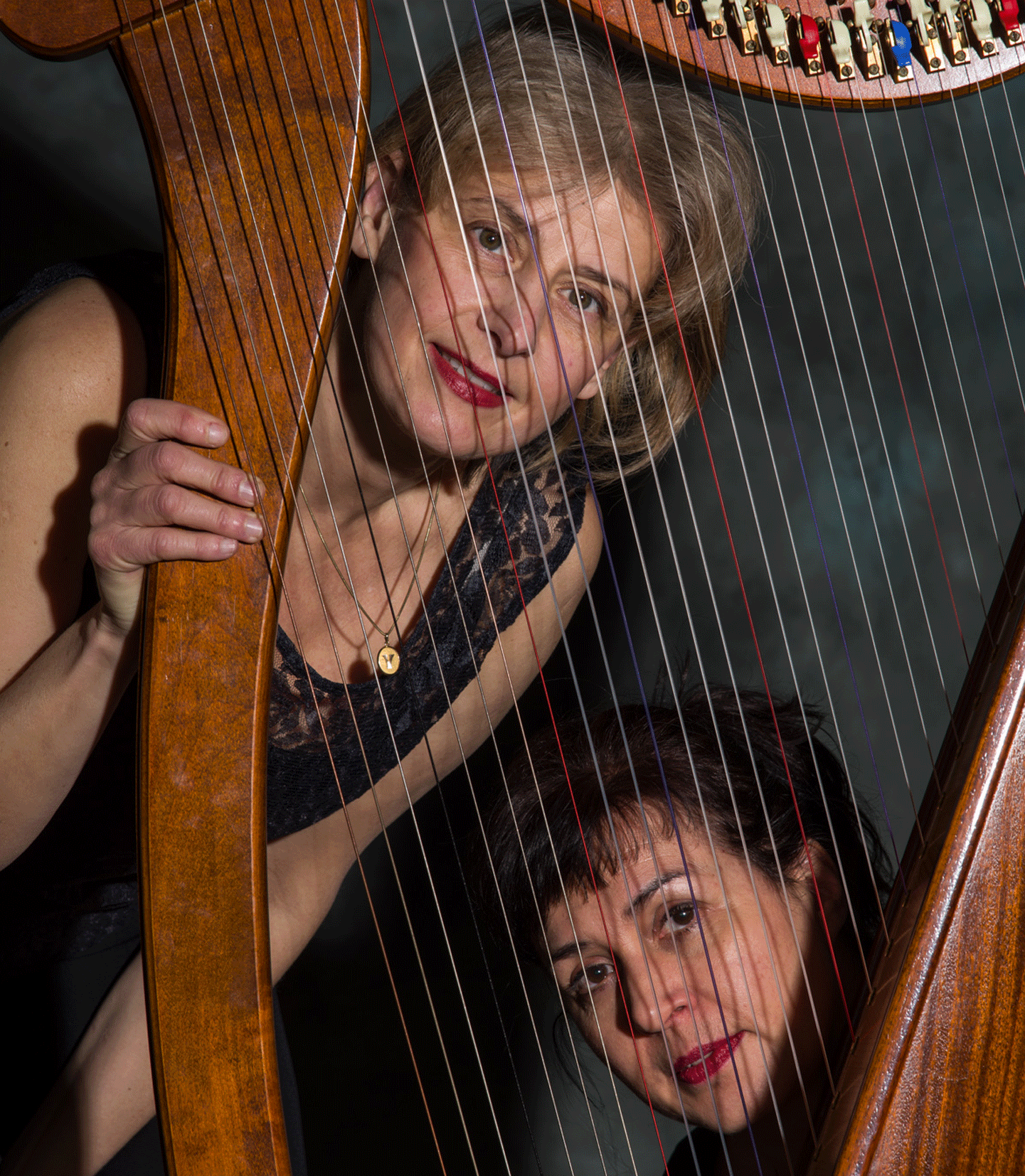 Fond-Harpe-theatre-2.gif