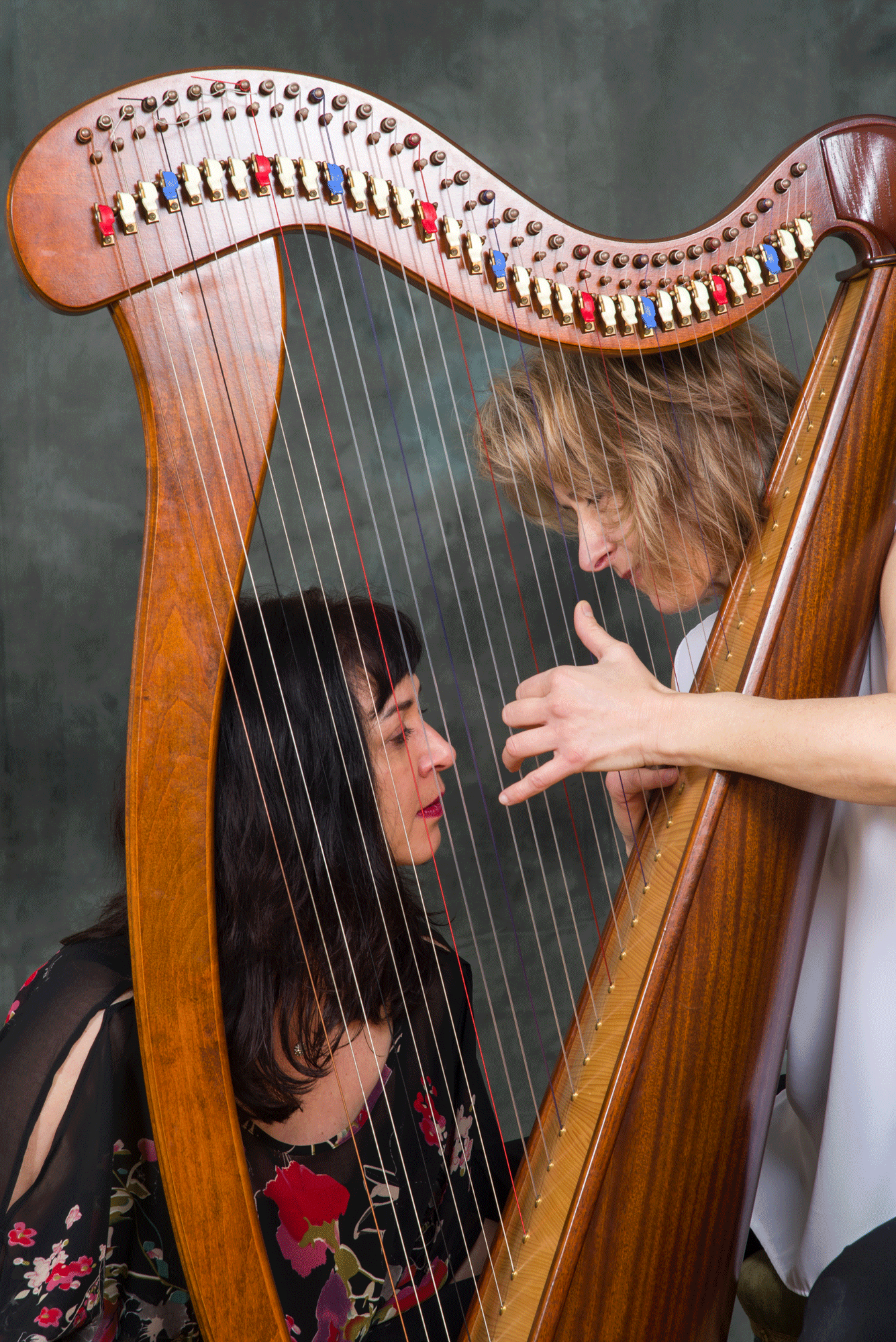 Portrait-harpe-profil.gif