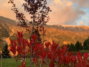 Discover Koferita Hotel: A Luxurious Retreat in the Heart of Tzoumerka