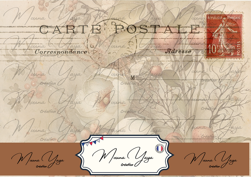 Miniature : Cartes Postales / 100 - 20 pages -