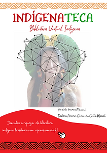 Captura de tela 2026-05-12 154812.png