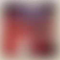 Suramericano de Va'a Buenos Aires 2012