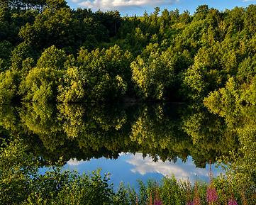 The Lakes