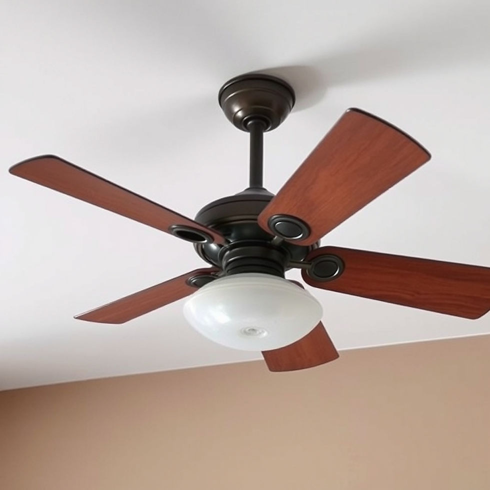 Ceiling fan .jpg