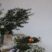 Herbes et Plantes