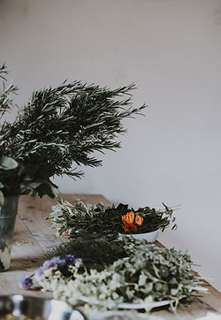 Herbs On Wooden Table