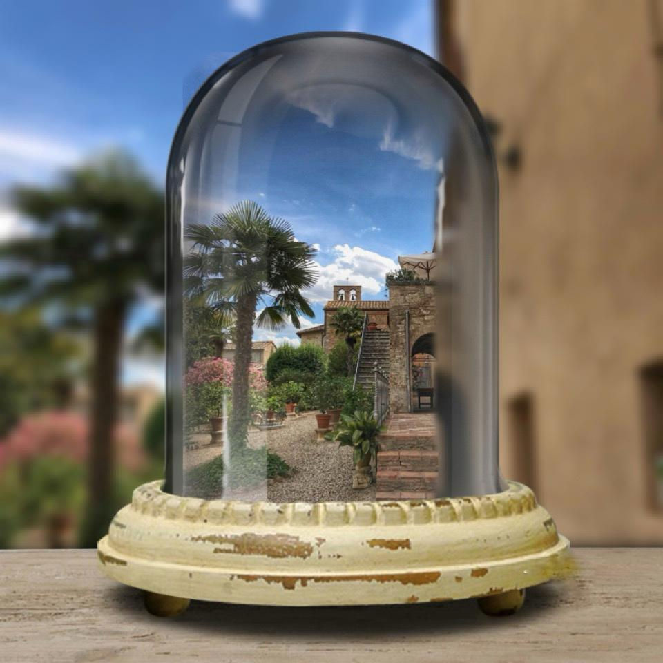 the garden at La Consuma