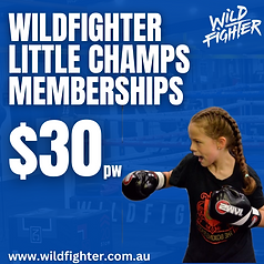 28 DAY ALL ACCESS TRIAL (1).png